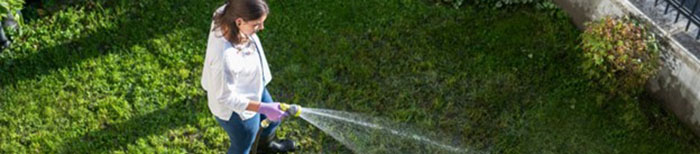 Greenest City news